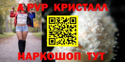 хмурый Тула