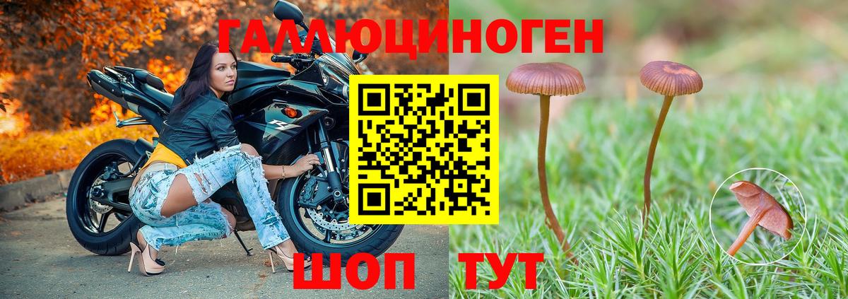 Галлюциногенные грибы ЛСД Нововоронеж