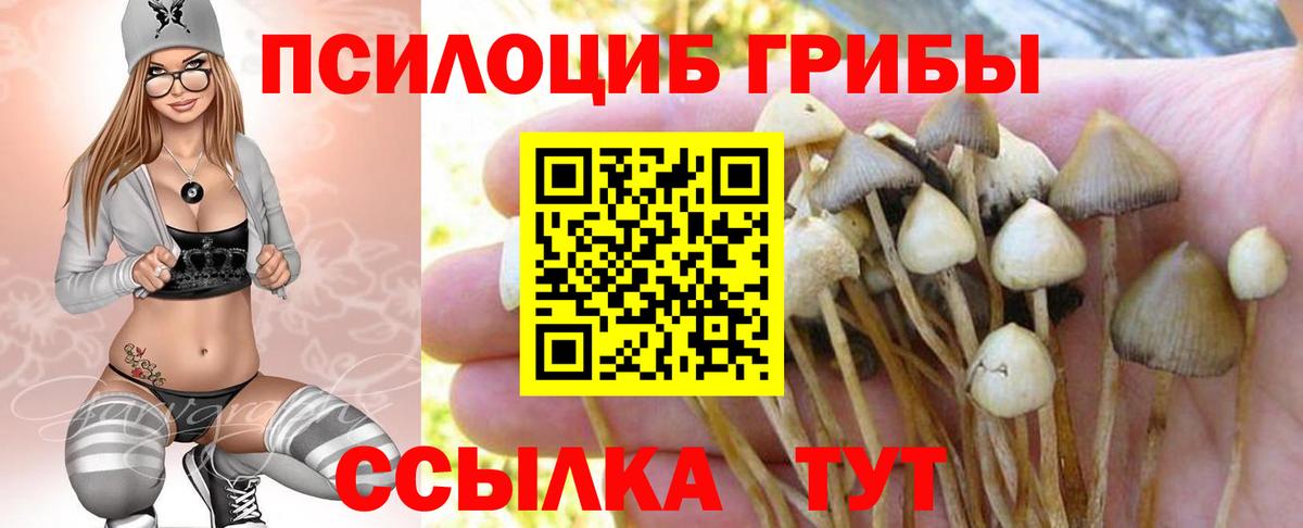 Галлюциногенные грибы Cubensis  Вход с VPN  Нововоронеж 